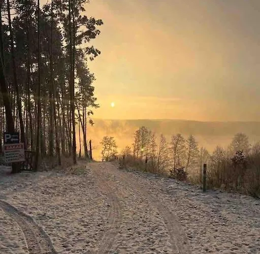 Kaszubska Lawenda Zuromino, Nr 3